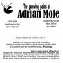 the_growing_pains_of_adrian_mole_etiq_new_2.jpg